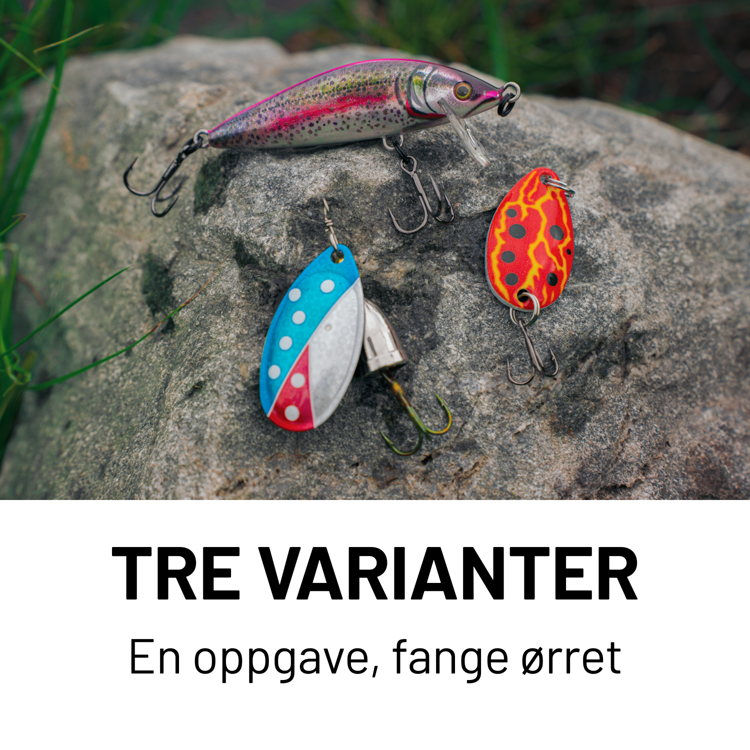 Chimera Ørresett