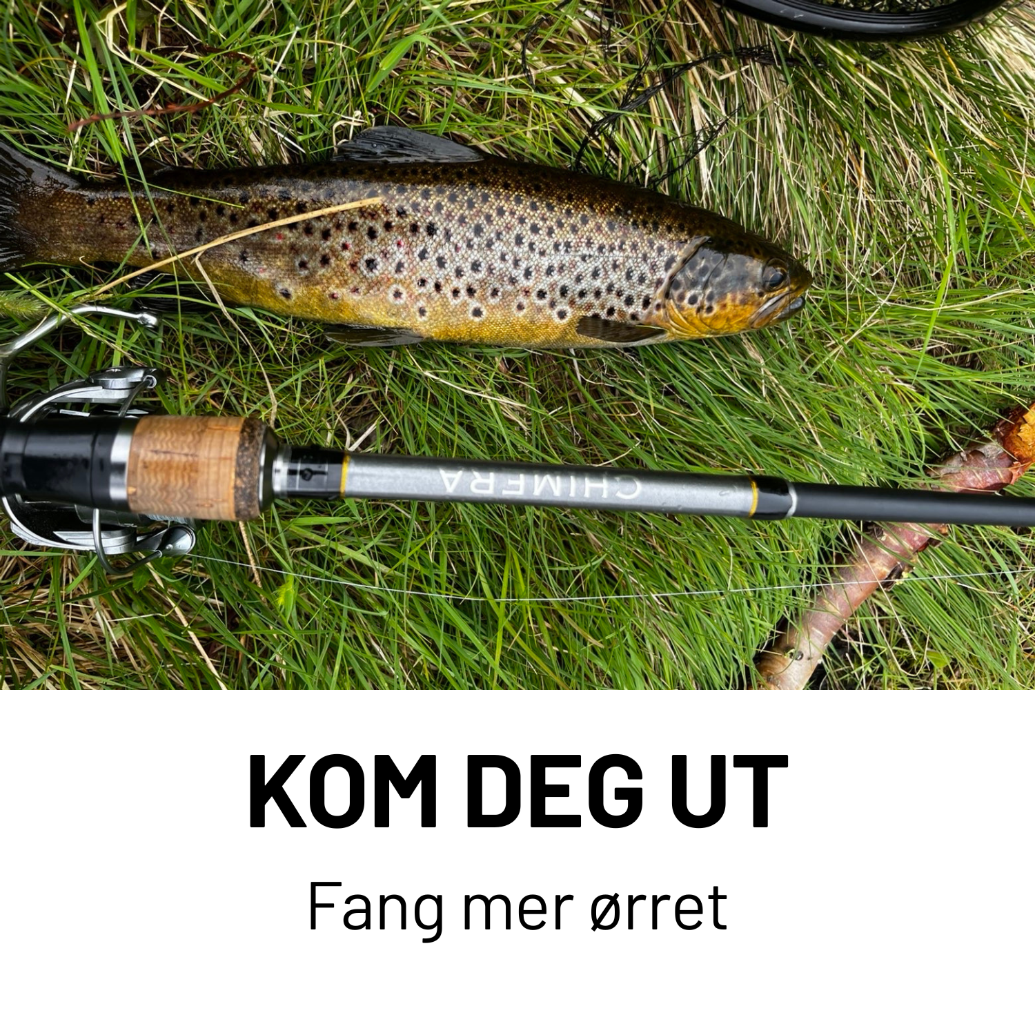Chimera Ørresett